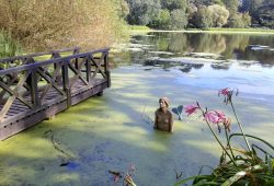 mountstewart